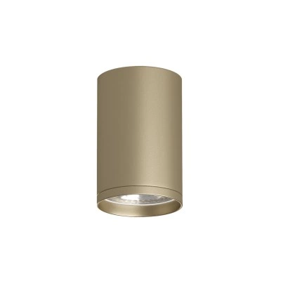 Точечный накладной светильник Denkirs DK2050-SG Точечный накладной светильник Denkirs DK2050-SG