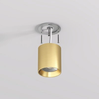 Denkirs SHINE TUBE DK2610-SB накладной светильник Denkirs SHINE TUBE DK2610-SB накладной светильник