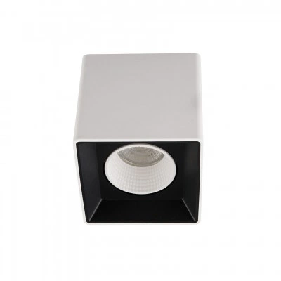 Denkirs DK3080-WB+WH точечный накладной светильник