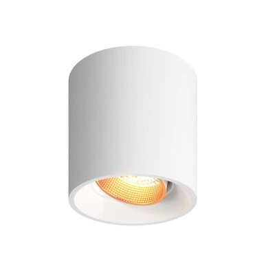 Denkirs DK3090-WBR точечный накладной светильник