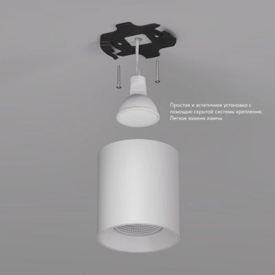 Точечный накладной светильник Denkirs DK3090-WH Точечный накладной светильник Denkirs DK3090-WH