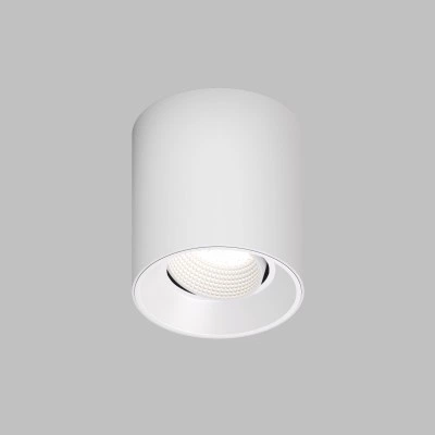 Точечный накладной светильник Denkirs DK3090-WH