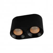 Denkirs DK3096-BK+BR точечный накладной светильник