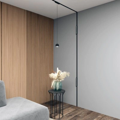 Denkirs AIR HANG DK5346-BK трековый подвесной светильник Denkirs AIR HANG DK5346-BK трековый подвесной светильник