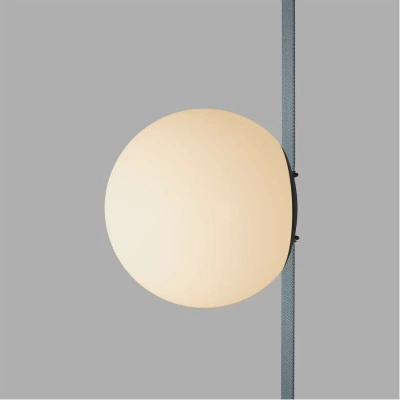 Трековый светильник Denkirs BELTY ORB DK5551-BK Трековый светильник Denkirs BELTY ORB DK5551-BK
