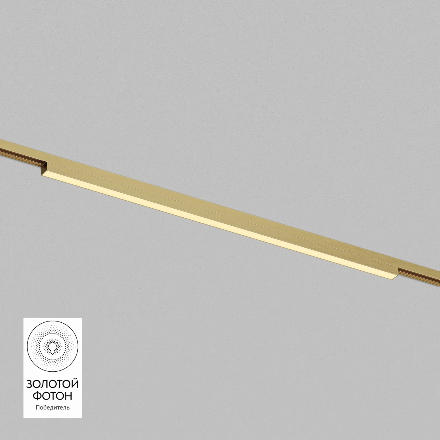 Denkirs SHINE LINEAR DK5752-SB трековый светильник (ДЕНКИРС) Denkirs SHINE LINEAR DK5752-SB трековый светильник (ДЕНКИРС)