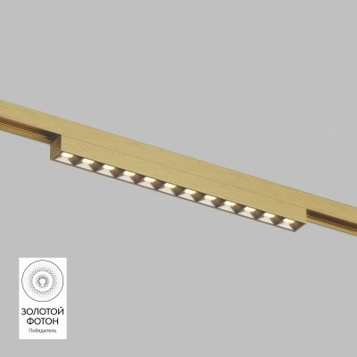 Светильник для трека SHINE GRILL DK5771-SB Denkirs