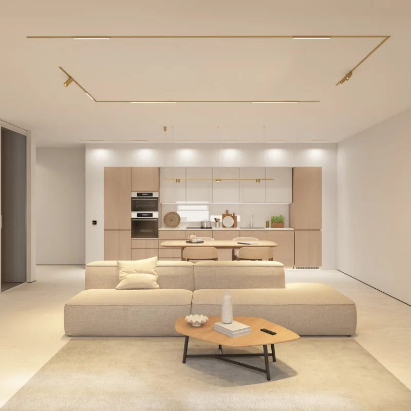 Трековый светильник Denkirs SHINE SPOT ZigBee DK5941-SB (ДЕНКИРС) Трековый светильник Denkirs SHINE SPOT ZigBee DK5941-SB (ДЕНКИРС)