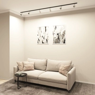 Denkirs DK6050-BW+BK трековый светильник Denkirs DK6050-BW+BK трековый светильник