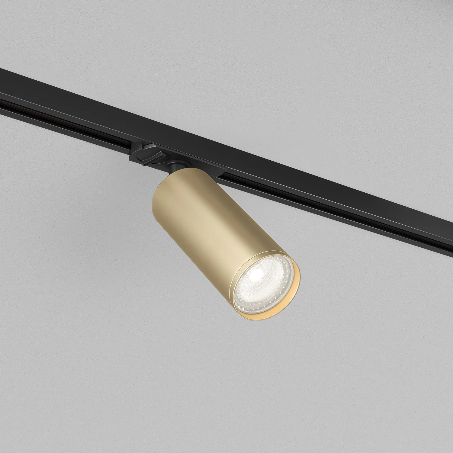 Трековый светильник Denkirs DK6202-BG