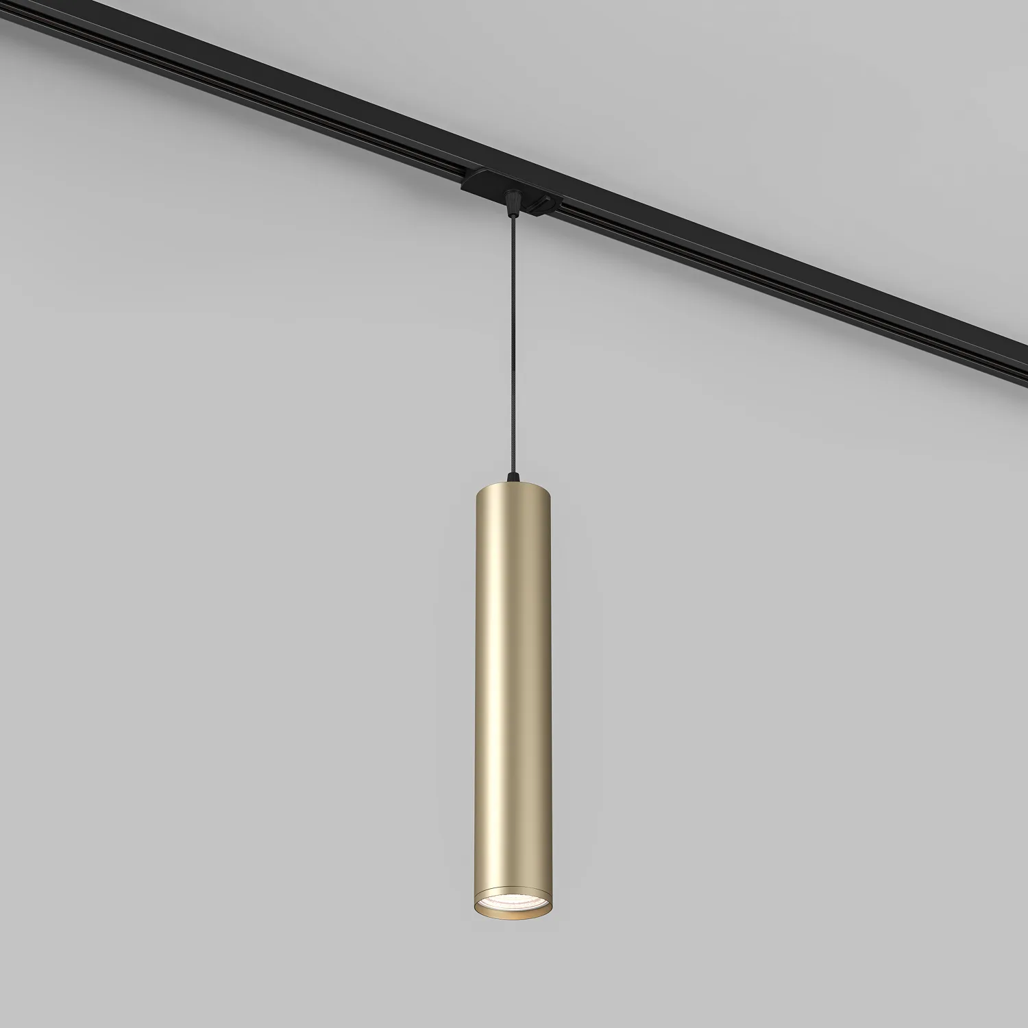 Трековый светильник Denkirs DK6210-BG