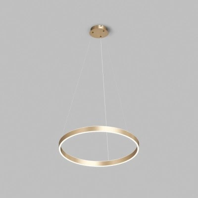 Denkirs RAYDIA DK6273-SG подвесной светильник