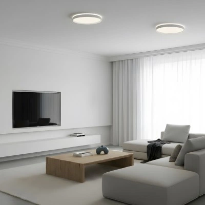 Denkirs DK6511-WH светильник накладной потолочный умный, белый Denkirs DK6511-WH светильник накладной потолочный умный, белый