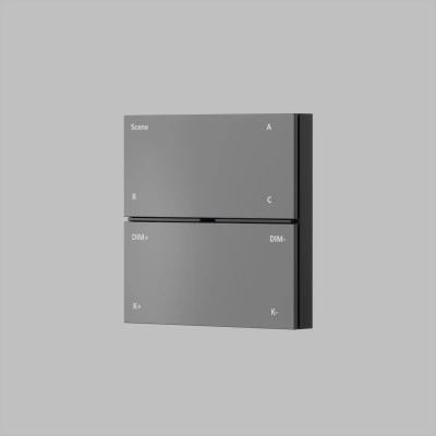 Denkirs CONTROL BT DK7201-DG накладная настенная панель управления Denkirs CONTROL BT DK7201-DG накладная настенная панель управления