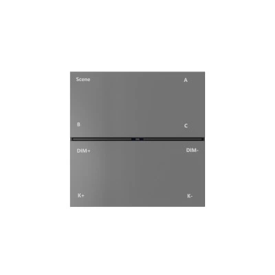 Denkirs CONTROL BT DK7201-DG накладная настенная панель управления Denkirs CONTROL BT DK7201-DG накладная настенная панель управления
