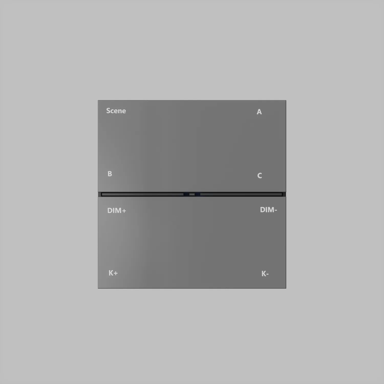 Denkirs CONTROL BT DK7201-DG — накладная настенная панель управления (ДЕНКИРС) Denkirs CONTROL BT DK7201-DG — накладная настенная панель управления (ДЕНКИРС)