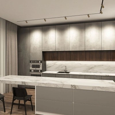 Трековый светильник Denkirs DK8010-BG Трековый светильник Denkirs DK8010-BG