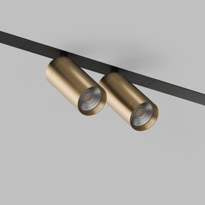 Трековый светильник Denkirs DK8012-BG Smart Spot, черный/золото матовое Трековый светильник Denkirs DK8012-BG Smart Spot, черный/золото матовое