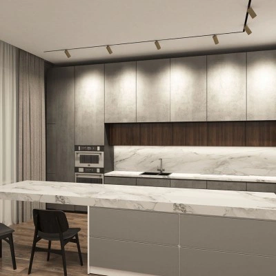 Трековый светильник Denkirs DK8020-BG Трековый светильник Denkirs DK8020-BG