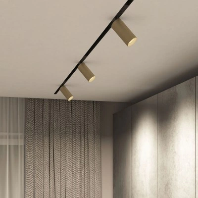 Трековый светильник Denkirs DK8020-BG Трековый светильник Denkirs DK8020-BG