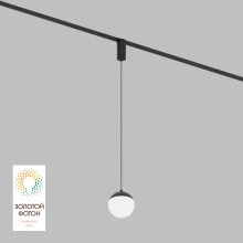 Denkirs Трековый светильник SMART MOON DK8056-BK