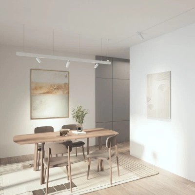 Denkirs Трековый акцентный светильник SIMPLE SPOT DK8220-WH Denkirs Трековый акцентный светильник SIMPLE SPOT DK8220-WH