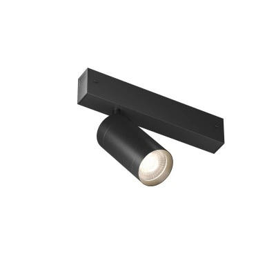 Denkirs Акцентный светильник SMART SPOT ZigBee DK8310-BK Denkirs Акцентный светильник SMART SPOT ZigBee DK8310-BK