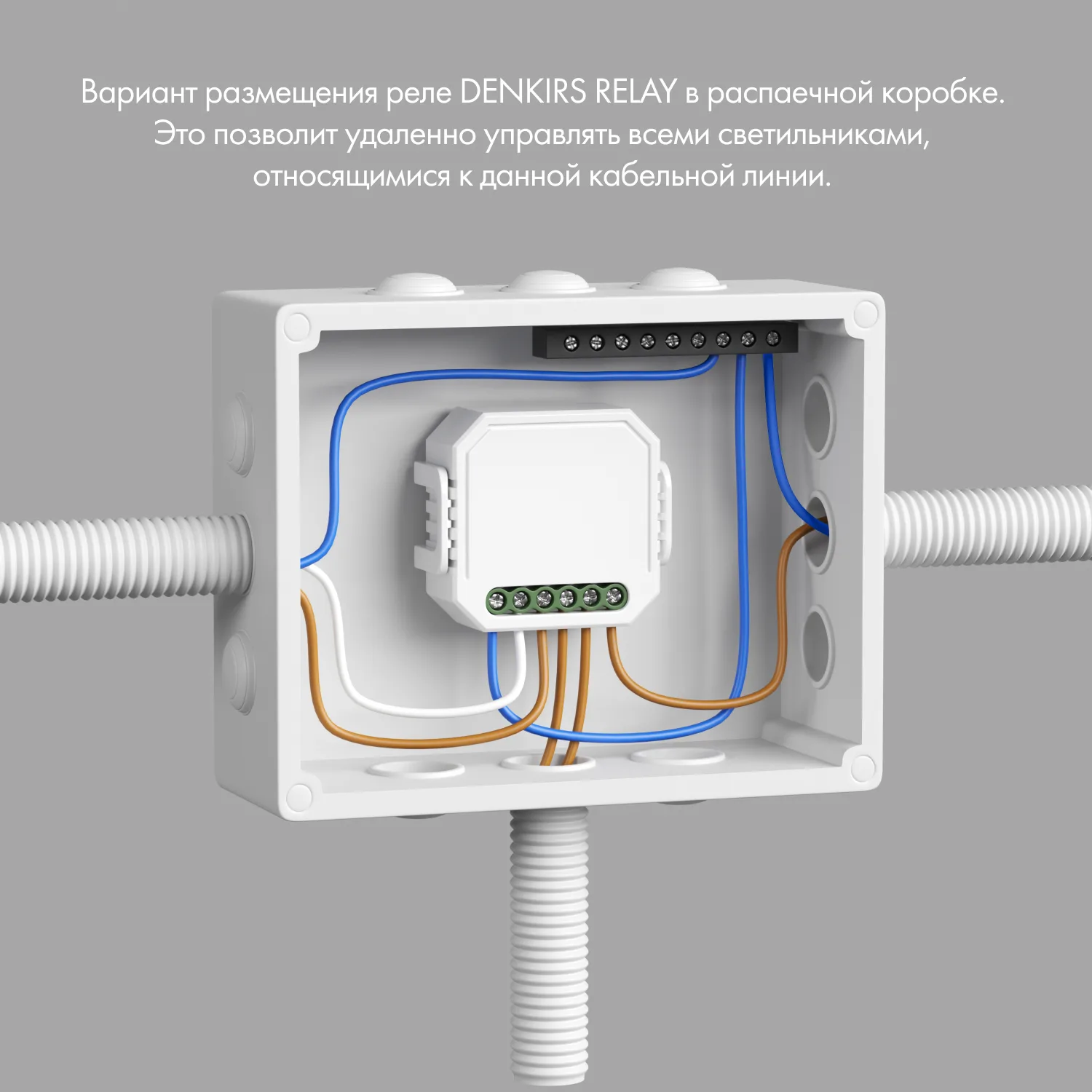 Denkirs RL1001-SM/1 — одноканальное Wi‑Fi реле-выключатель (ДЕНКИРС) Denkirs RL1001-SM/1 — одноканальное Wi‑Fi реле-выключатель (ДЕНКИРС)