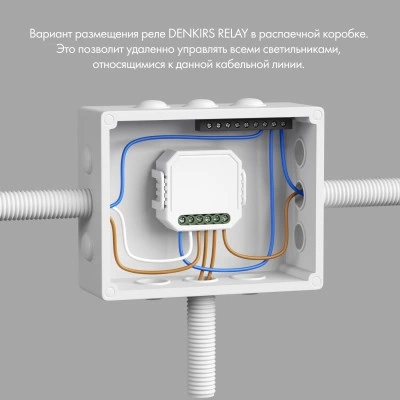 Одноканальное Wi‑Fi реле-выключатель Denkirs RL1001-SM/1 Одноканальное Wi‑Fi реле-выключатель Denkirs RL1001-SM/1