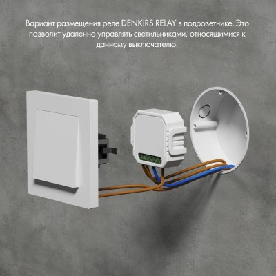 Одноканальное Wi‑Fi реле-выключатель Denkirs RL1001-SM/1 Одноканальное Wi‑Fi реле-выключатель Denkirs RL1001-SM/1