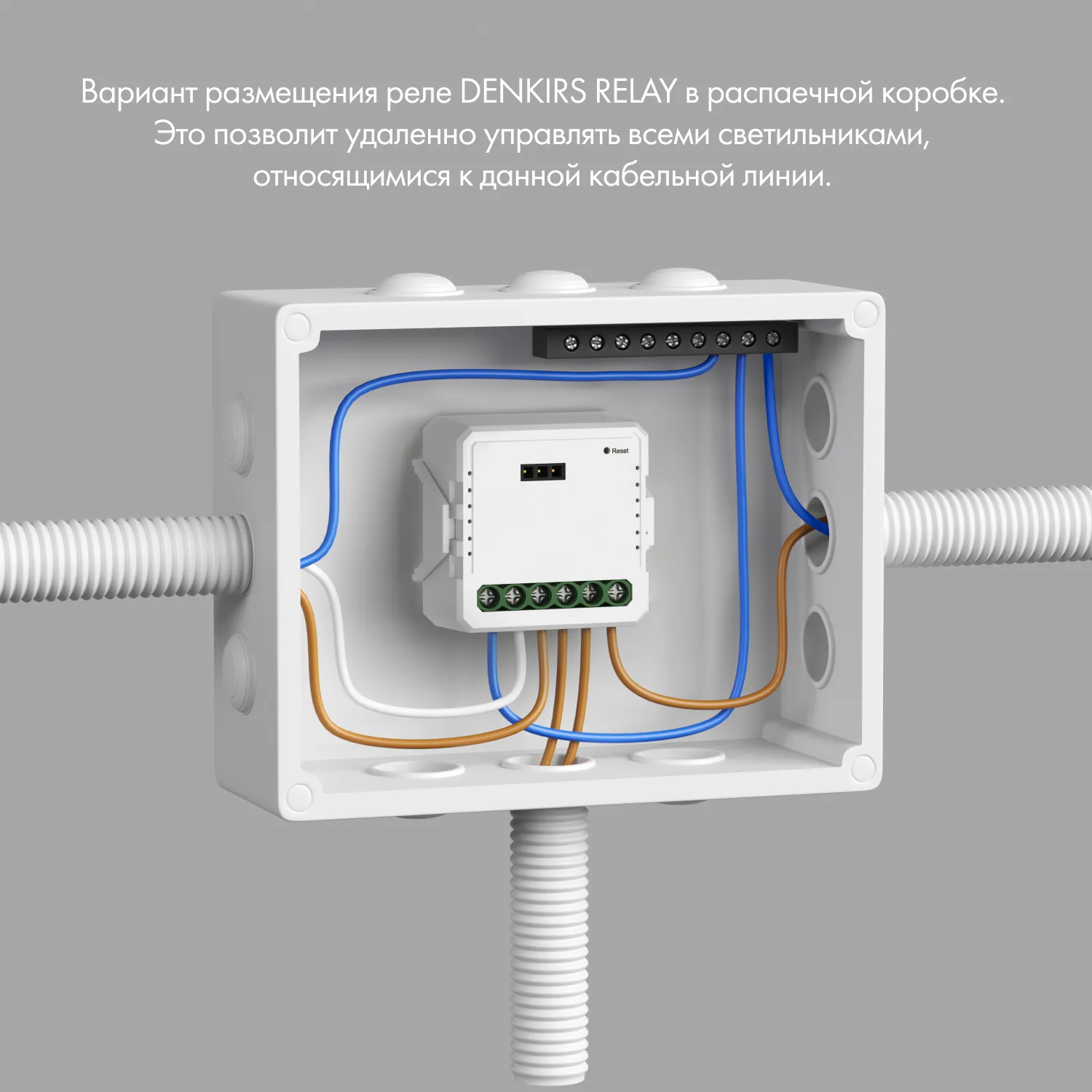 Denkirs RL1002-SM — двухканальное Wi‑Fi реле‑выключатель (ДЕНКИРС) Denkirs RL1002-SM — двухканальное Wi‑Fi реле‑выключатель (ДЕНКИРС)