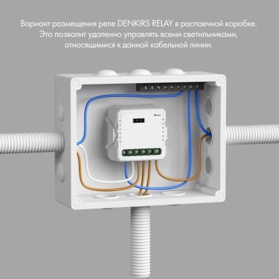 Denkirs RL1003-DM Одноканальное Wi‑Fi реле-диммер Denkirs RL1003-DM Одноканальное Wi‑Fi реле-диммер