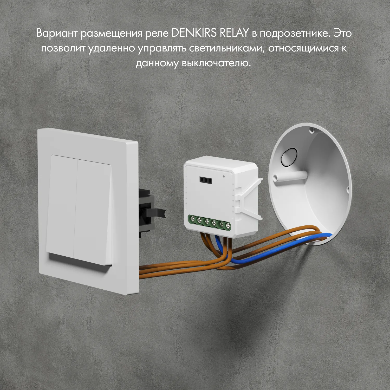 Denkirs RL1003-DM Одноканальное Wi‑Fi реле-диммер (ДЕНКИРС) Denkirs RL1003-DM Одноканальное Wi‑Fi реле-диммер (ДЕНКИРС)
