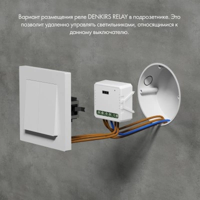 Denkirs RL1004-DM двухканальное Wi-Fi реле-диммер Denkirs RL1004-DM двухканальное Wi-Fi реле-диммер