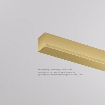 Denkirs Торцевая заглушка для трека SHINE BASE TR5735H-SB Denkirs Торцевая заглушка для трека SHINE BASE TR5735H-SB