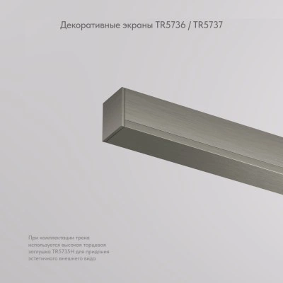 Denkirs SHINE BASE TR5736-DN декоративная заглушка желоба трека Denkirs SHINE BASE TR5736-DN декоративная заглушка желоба трека