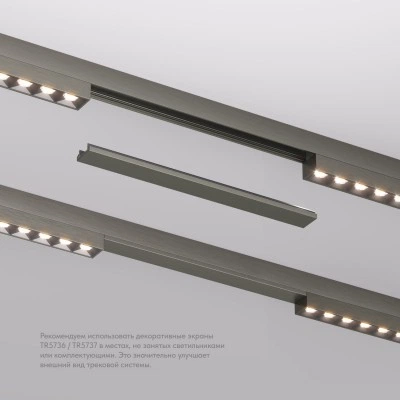 Denkirs SHINE BASE TR5736-DN декоративная заглушка желоба трека Denkirs SHINE BASE TR5736-DN декоративная заглушка желоба трека