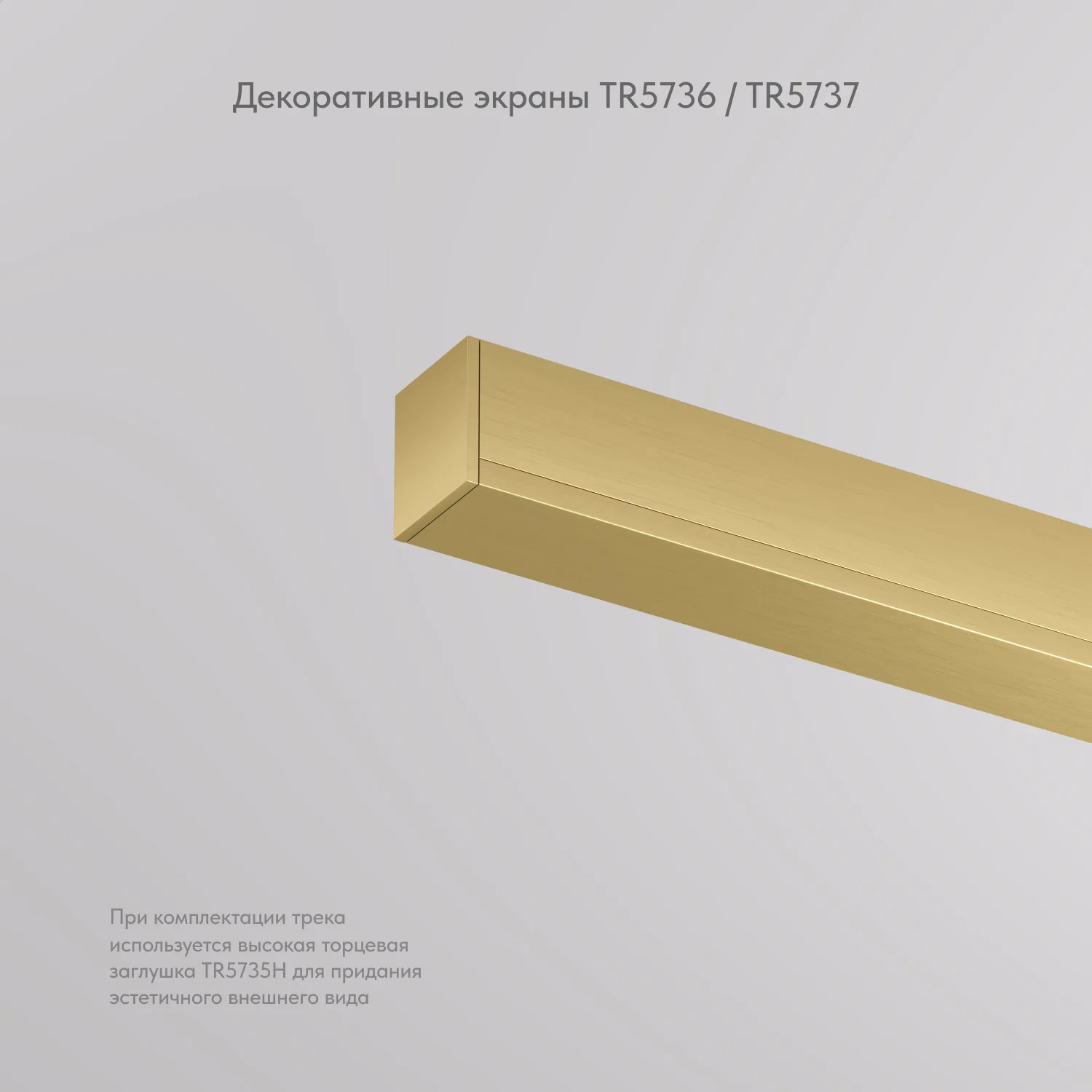 Denkirs Декоративная заглушка желоба трека SHINE BASE TR5737-SB (ДЕНКИРС) Denkirs Декоративная заглушка желоба трека SHINE BASE TR5737-SB (ДЕНКИРС)